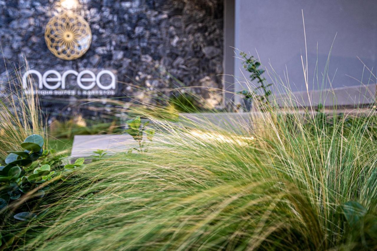 Nerea Boutique Suites Karystos المظهر الخارجي الصورة